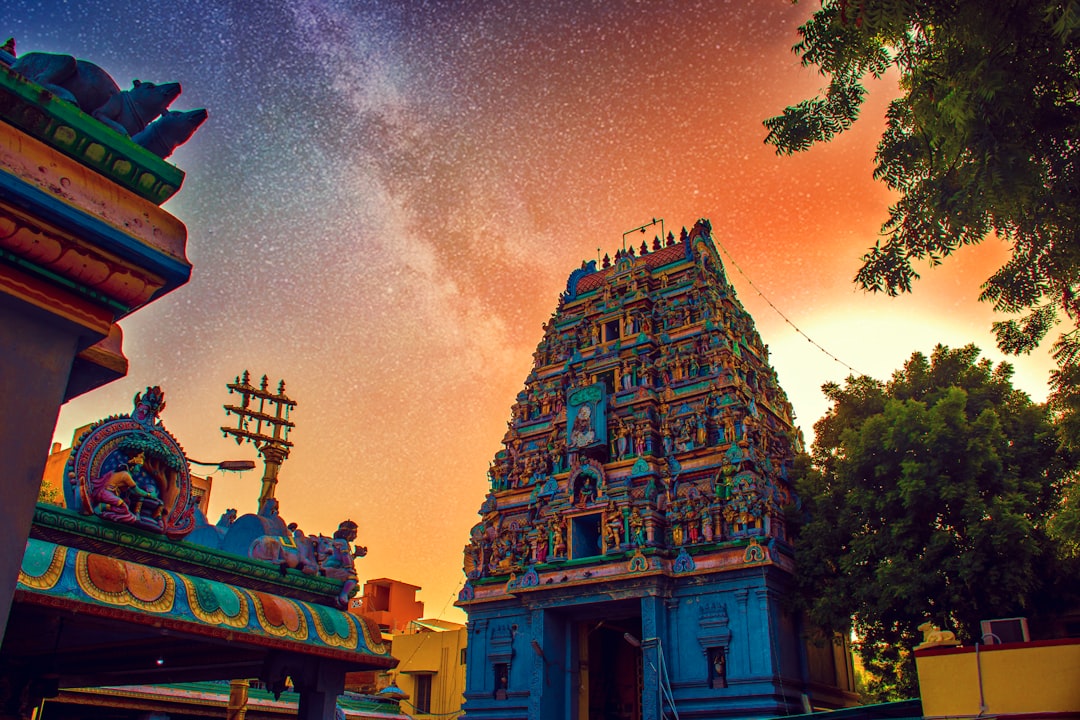 GMB(Google My Business) Course in Chennai