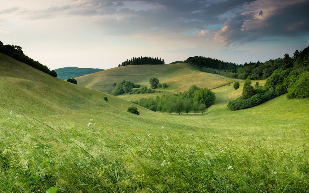 WordPress Website Design Course in Ooty