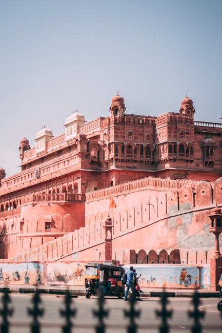 SEO Course in Bikaner