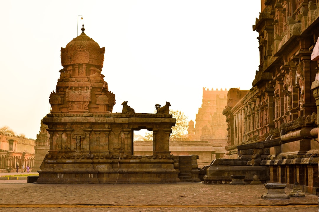 GMB(Google My Business) Course in Thanjavur
