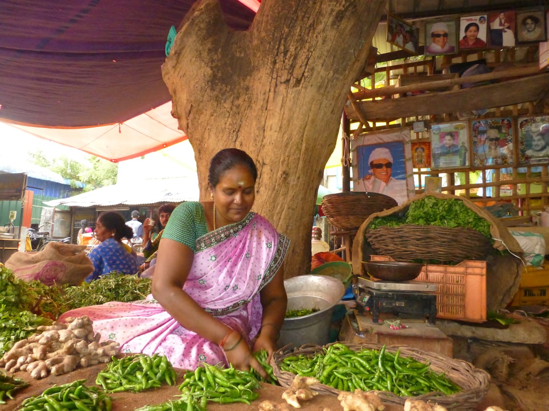 Email Marketing Course in Madurai - Certification Course in Madurai