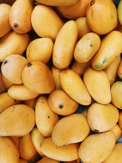 Email Marketing Course in Mango - Certification Course in Mango